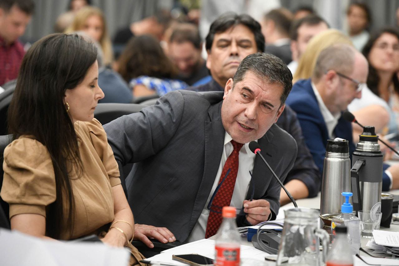 Sergio Casas “El Presidente quiere gobernar el País por decreto” - foto  1