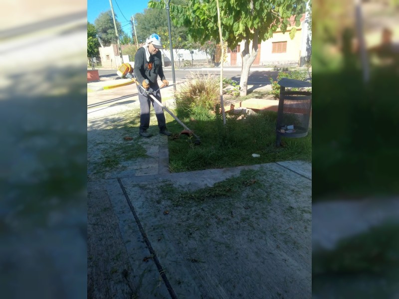 Municipio de Los Sauces trabaja en espacios públicos del departamento - foto  1