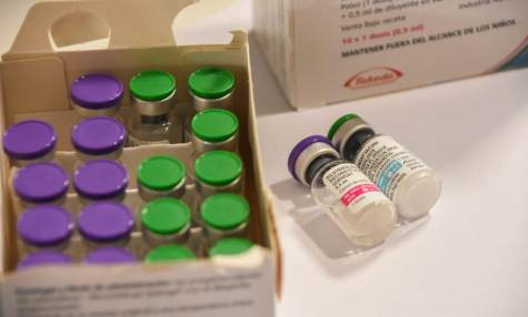 Los primeros días de agosto, La Rioja comenzará a vacunar contra el dengue