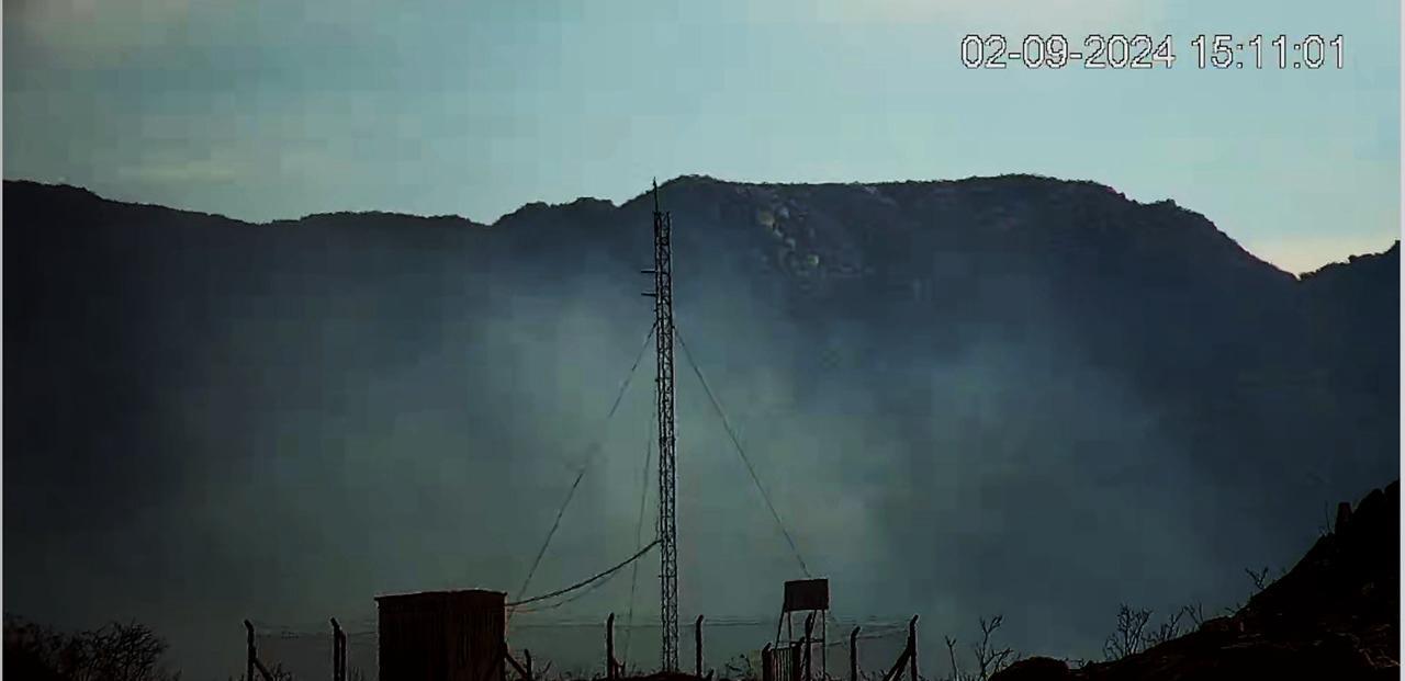 El Comité de Emergencias detectó una columna activa al norte - foto  1